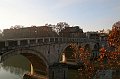 Roma mia 59